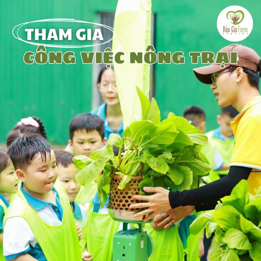 Bảo Gia Farm Camping