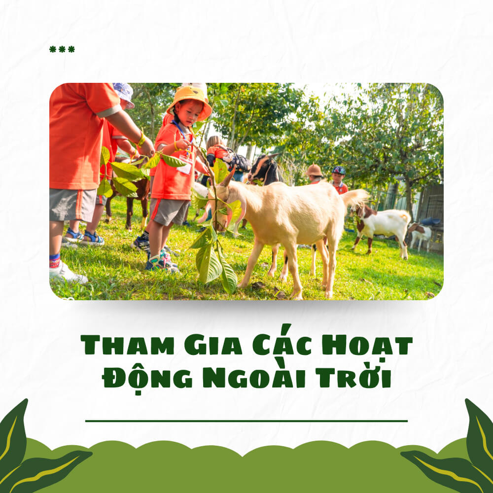Bảo Gia Farm Camping