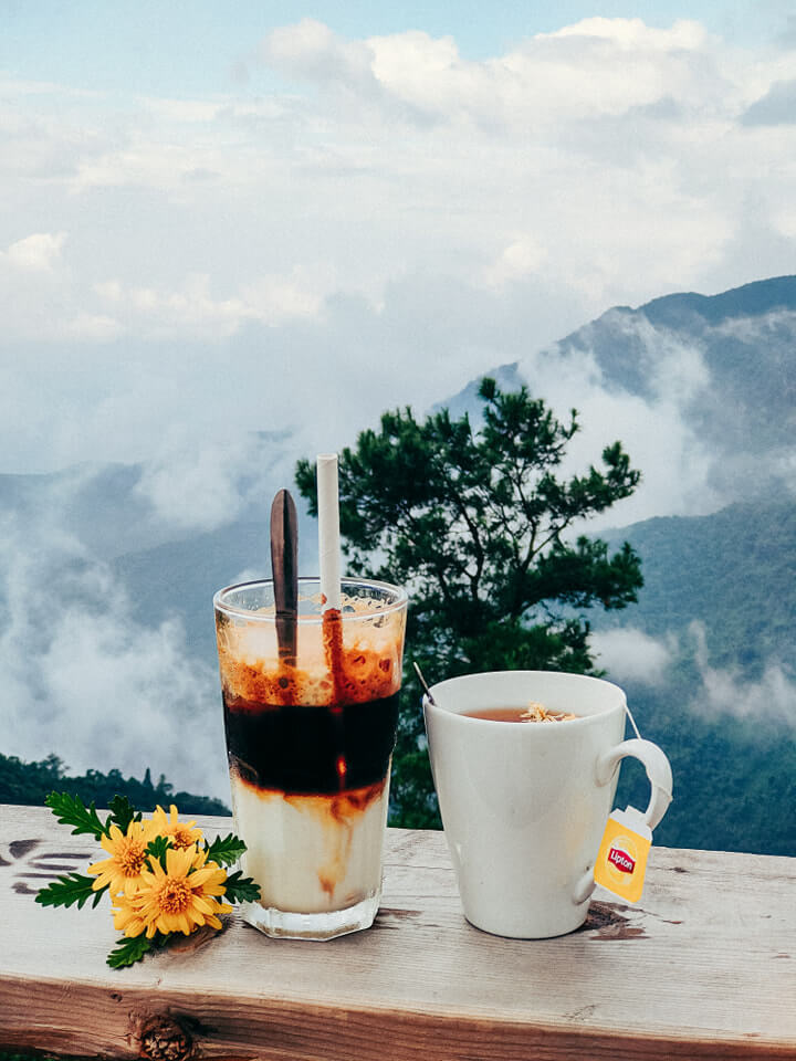 Lala Land Tam Đảo