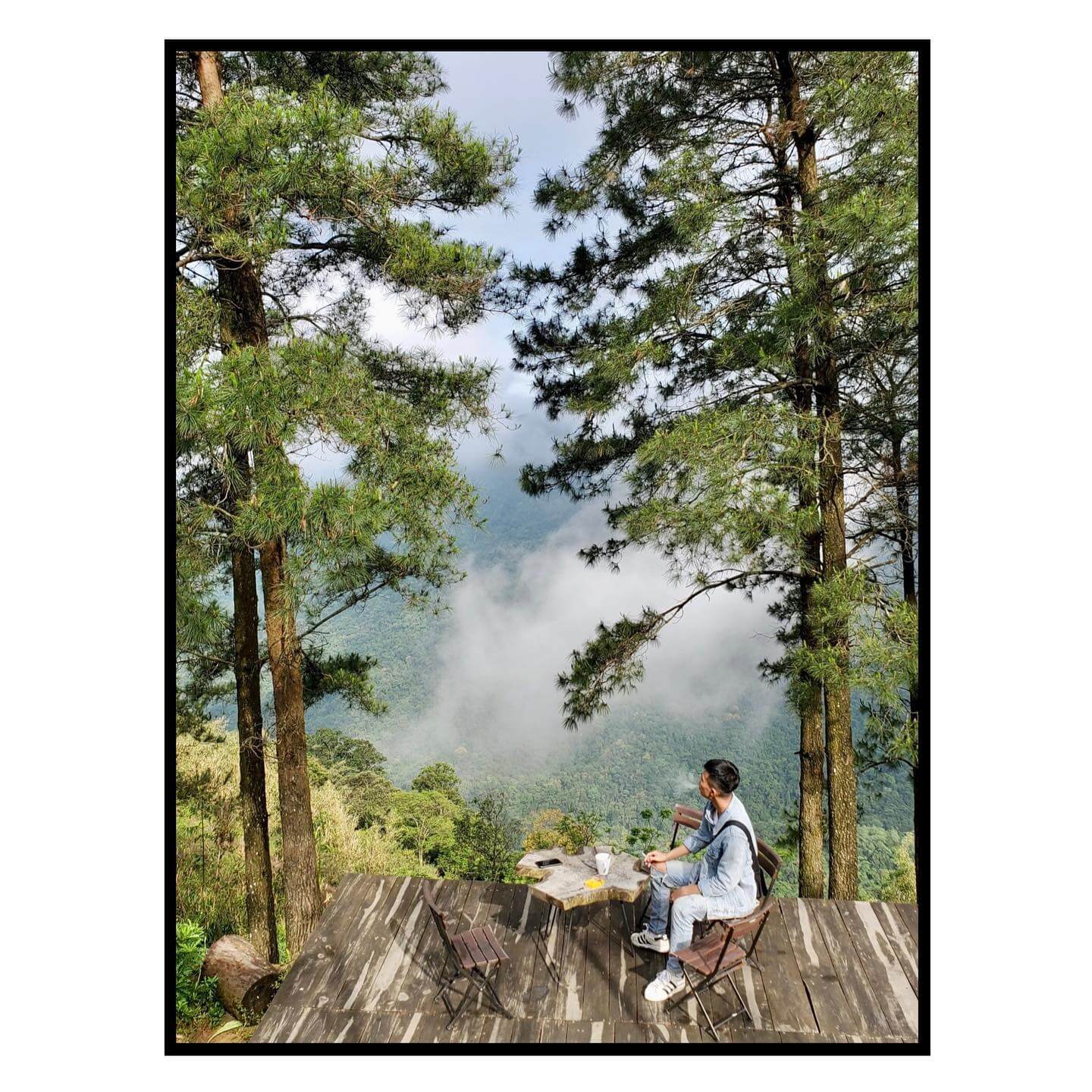 Lala Land Tam Đảo