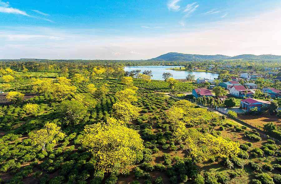 바우 캔 티 언덕