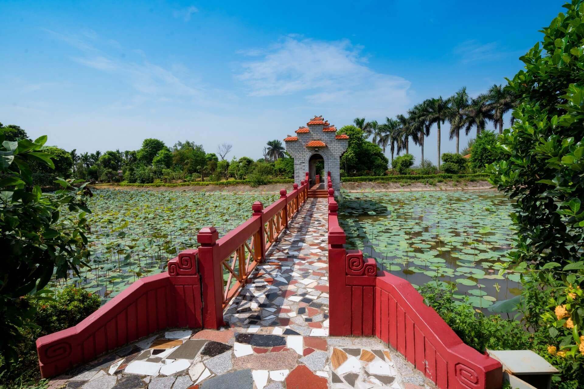 Trường Thành Farm