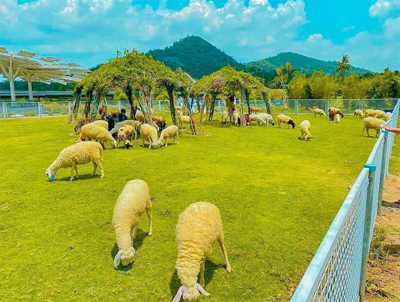 Khu du lịch Điện mặt trời An Hảo