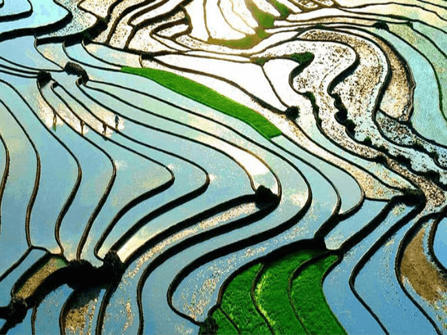 Sapa nổi tiếng với những bản làng nhỏ nằm được bao quanh bởi đồi núi trùng điệp và bản Sín Chải là một trong những điểm đến sở hữu vẻ đẹp hoang sơ, mộc mạc