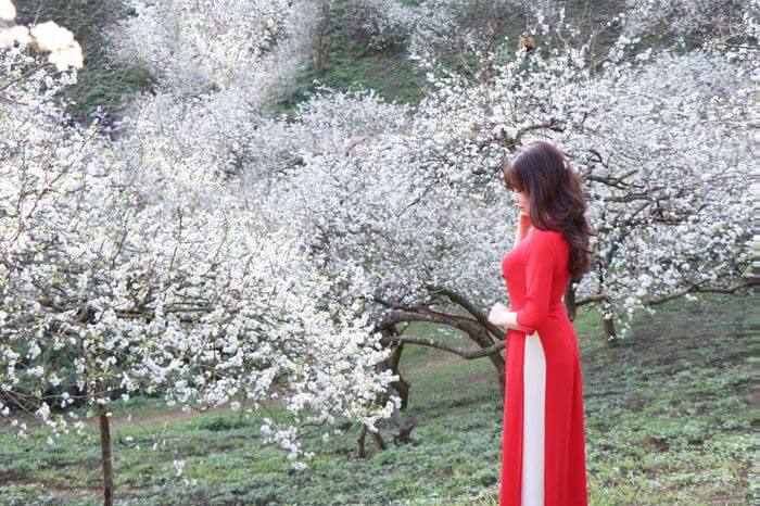 Vườn Hoa Nhiệt Đới Mộc Châu