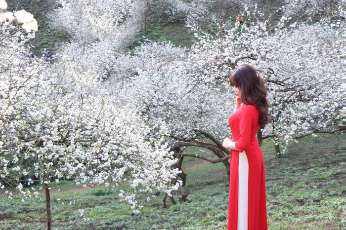 Vườn Hoa Nhiệt Đới Mộc Châu được Công ty Cổ phần Hoa Nhiệt Đới thành lập vào năm 2005 tại bản Búa và bản Bun, huyện Mộc Châu, tỉnh Sơn La.