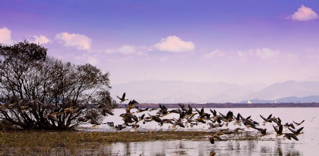 Bãi biển Cồn Nổi