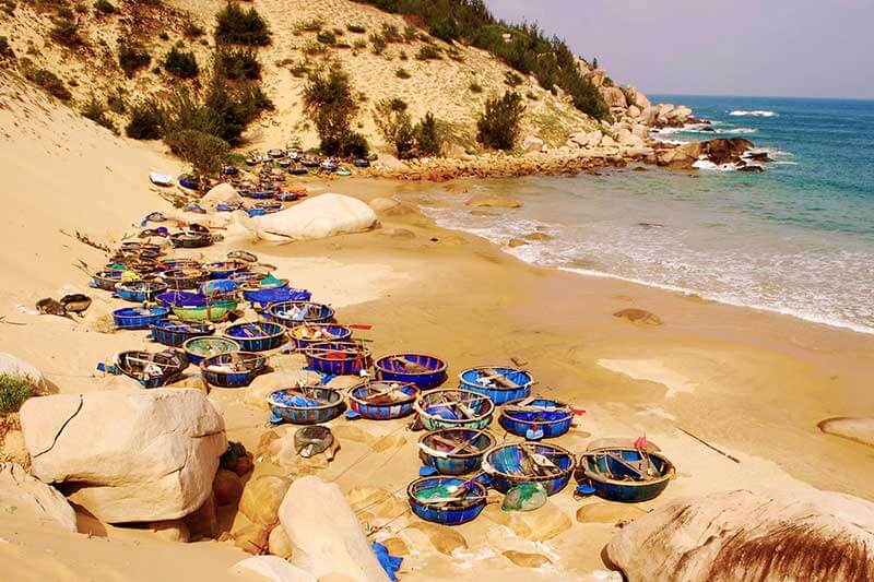 바다 고양이 티엔