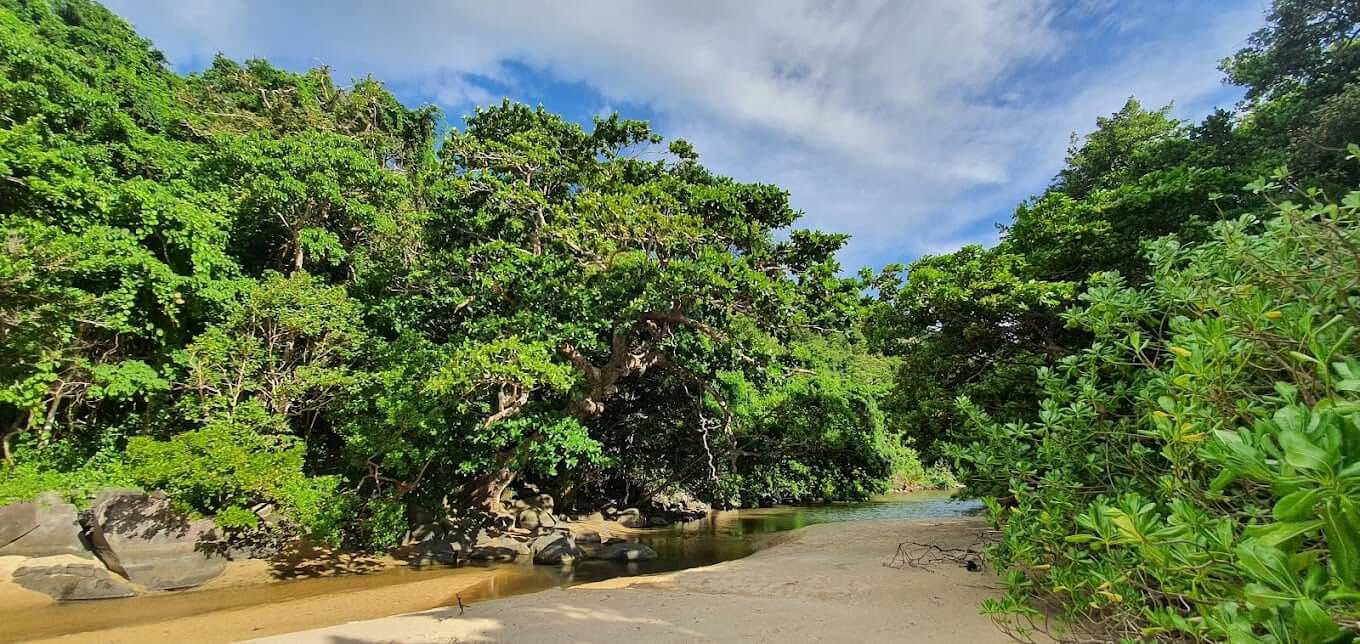 뜨거운 수이 해변