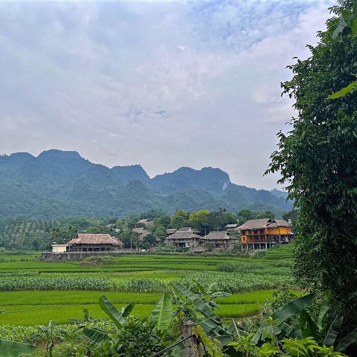 Jiang Moは、コミュニティの観光が開発された場所であり、多くの観光客を訪問するために惹きつけています。