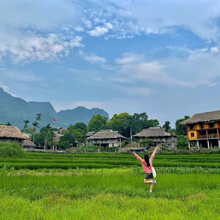 この美しいムーン版には、緑豊かな森の森が植え付けられた緑の田んぼがあるシンプルな家の魅力的な自然の景色があります。