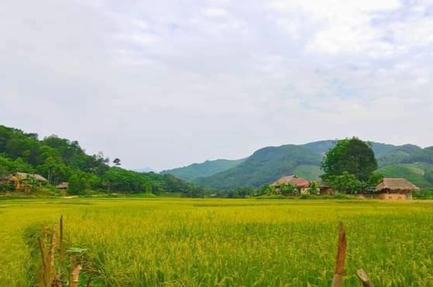 Những ngôi nhà sàn của người Thái ẩn nấp trong núi và những thửa ruộng bậc thang dễ khiến du khách tìm được cảm giác bình yên, dễ chịu.