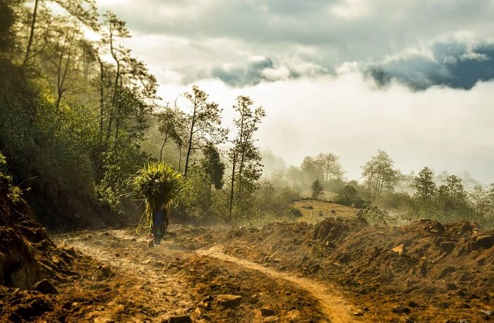 Bản Ngải Thầu Thượng