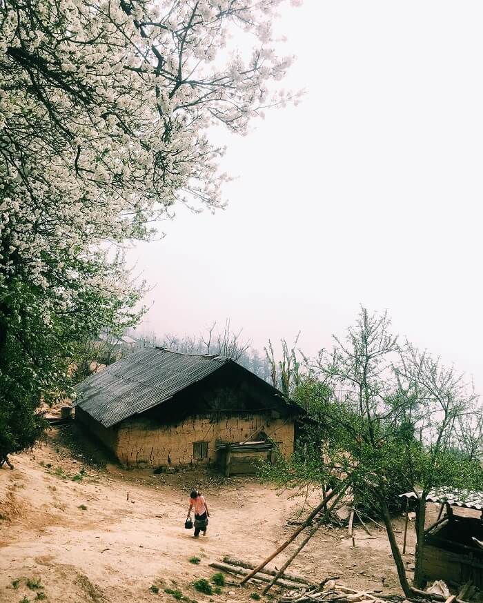 Bản Ngải Thầu Thượng