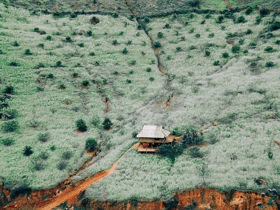 Bản Pa Phách hay Pa Phách tọa lạc tại xã Đông Sang, huyện Mộc Châu về phía Tây.