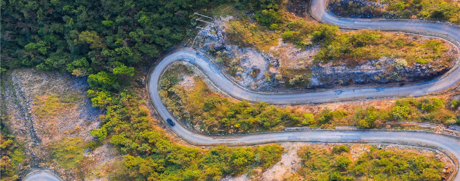 PIAパスのカニの視点。