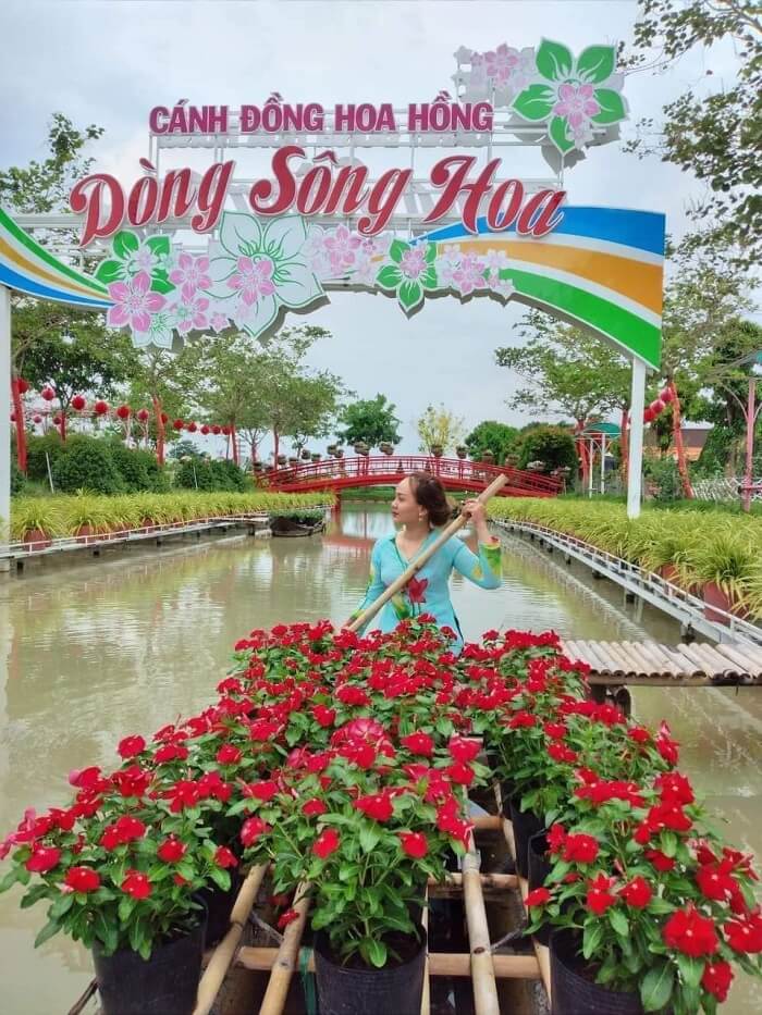 Cánh đồng hoa hồng Sa Đéc nằm ở số 1, đường Cao Thắng, khóm Tân Hiệp, phường Tân Quy Đông, Thành phố Sa Đéc, tỉnh Đồng Tháp.