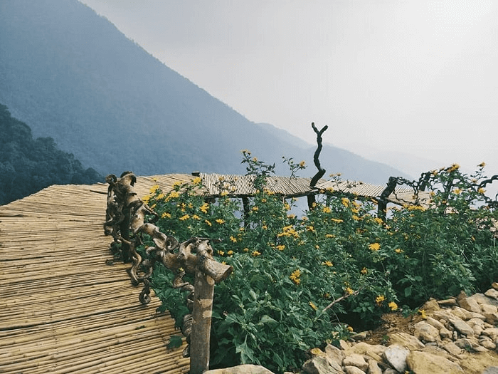 Tam Dao May Cloud Bridge
