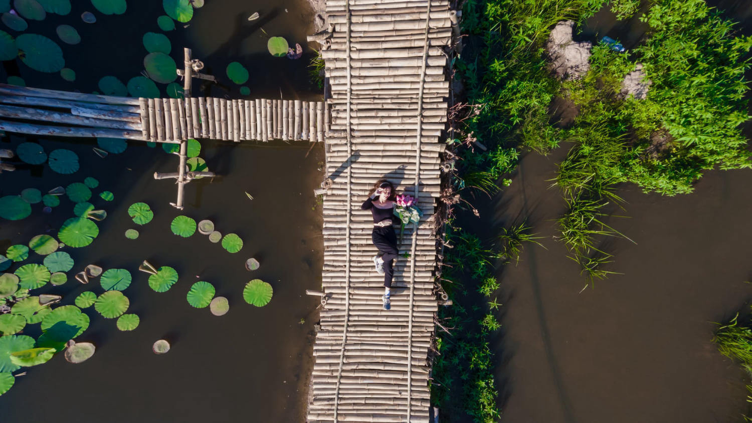 ダナン市内中心部からわずか約60 kmの南には、輝かしいピンク色の蓮のラグーンがあります。