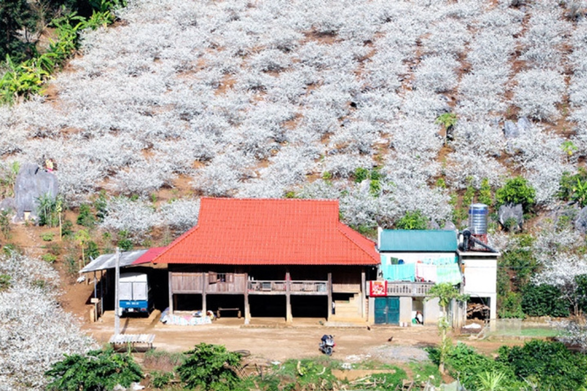 Xã này trực thuộc thành phố Sơn La, cách trung tâm thành phố chỉ khoảng 10 km, tiện đường để du khách đến tham quan, trải nghiệm.