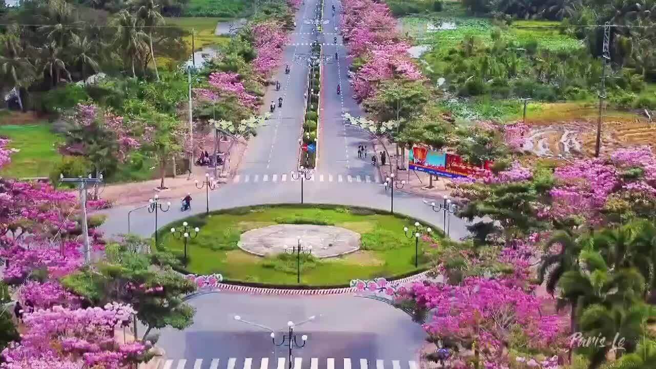 Soc Trang Pink Flower Roadは、先住民だけでなく、世界中の多くの若者にとっても非常に有名なチェックインと写真撮影の場所です。