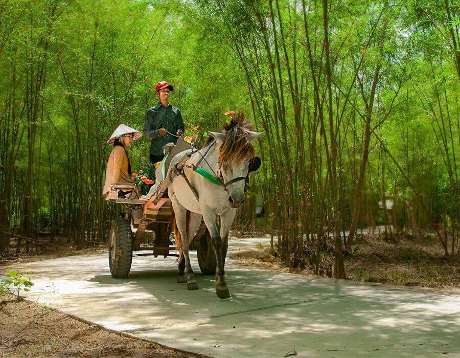 Vong O Ta Socの道にある緑豊かな緑地は、多くの人々を魅了しました