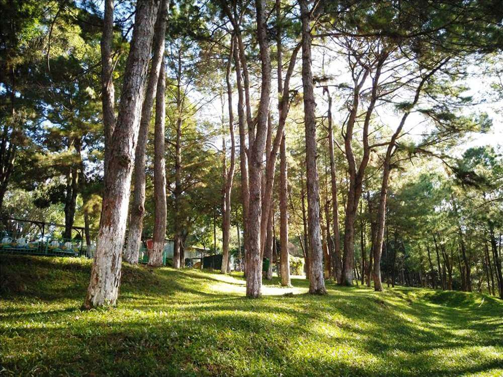 Công viên Diên Hồng