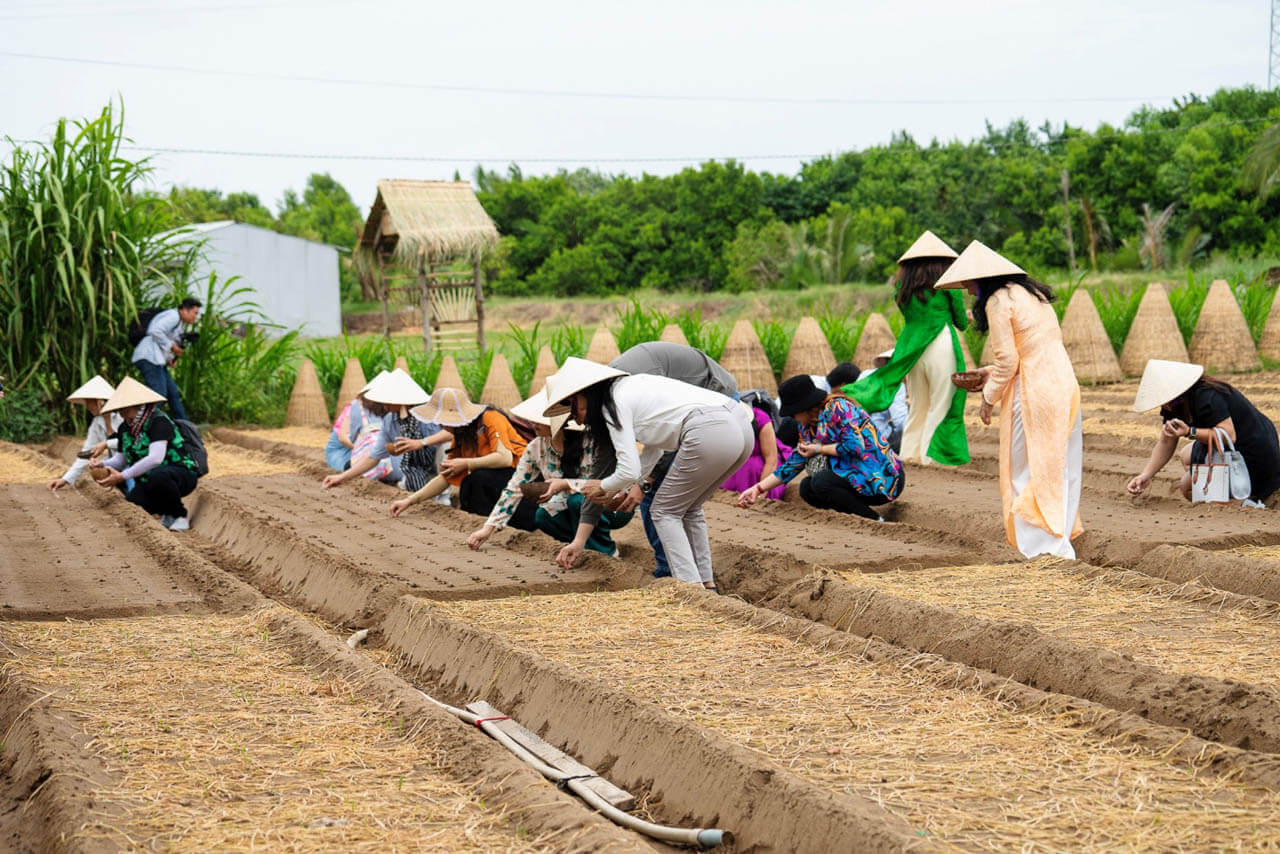 さらに、訪問者は野菜、果物の種を買うことができます...自分自身を成長させることができます。