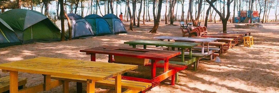 제나 수영장 캠프