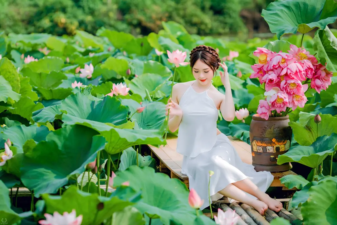 この期間中、ロータスフィールドは新しいシャツを着て、平和で純粋な美しさを醸し出しているように見えました。