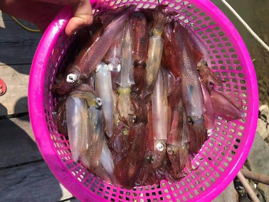 Bãi biển Kỳ Ninh