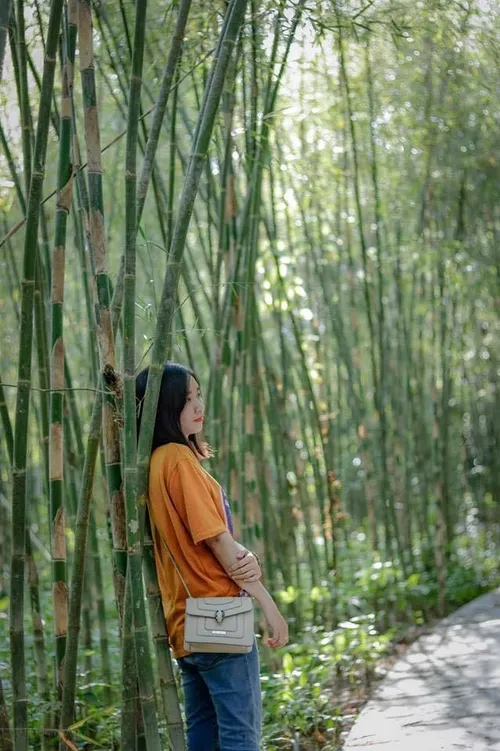 TAリスの道はまっすぐで、広々とした建設