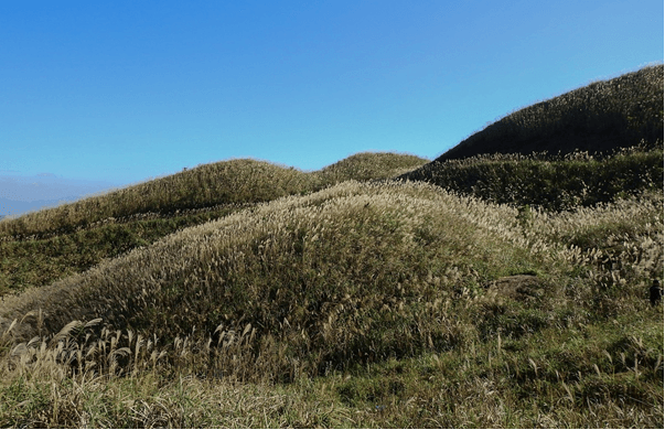 Thiên đường cỏ lau trắng muốt ở miền biên viễn Lạng Sơn