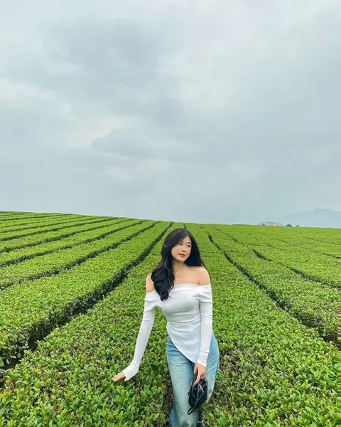 Vào bất cứ thời điểm nào trong ngày, Đồi Chè Ô LOng Mộc Sương đều mang trong mình một vẻ đẹp khiến nhiều du khách say đắm