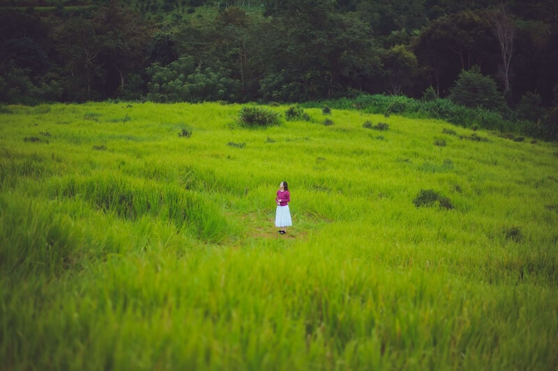 Đồi cỏ Măng Đen nổi tiếng với vẻ đẹp xanh rì, trong veo giữa lòng đại ngàn hùng vĩ.