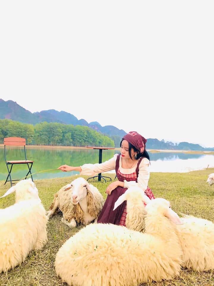 Đồng cừu Gia Hưng