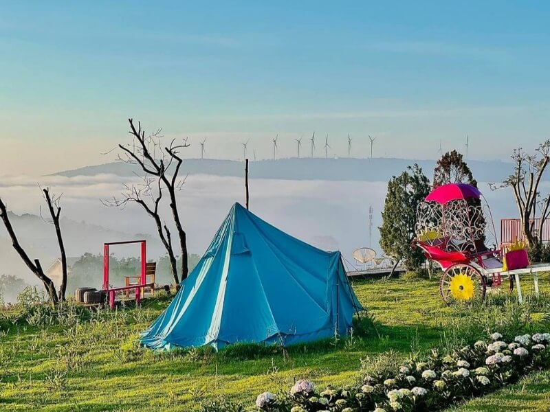 Camp activity is an interesting experience