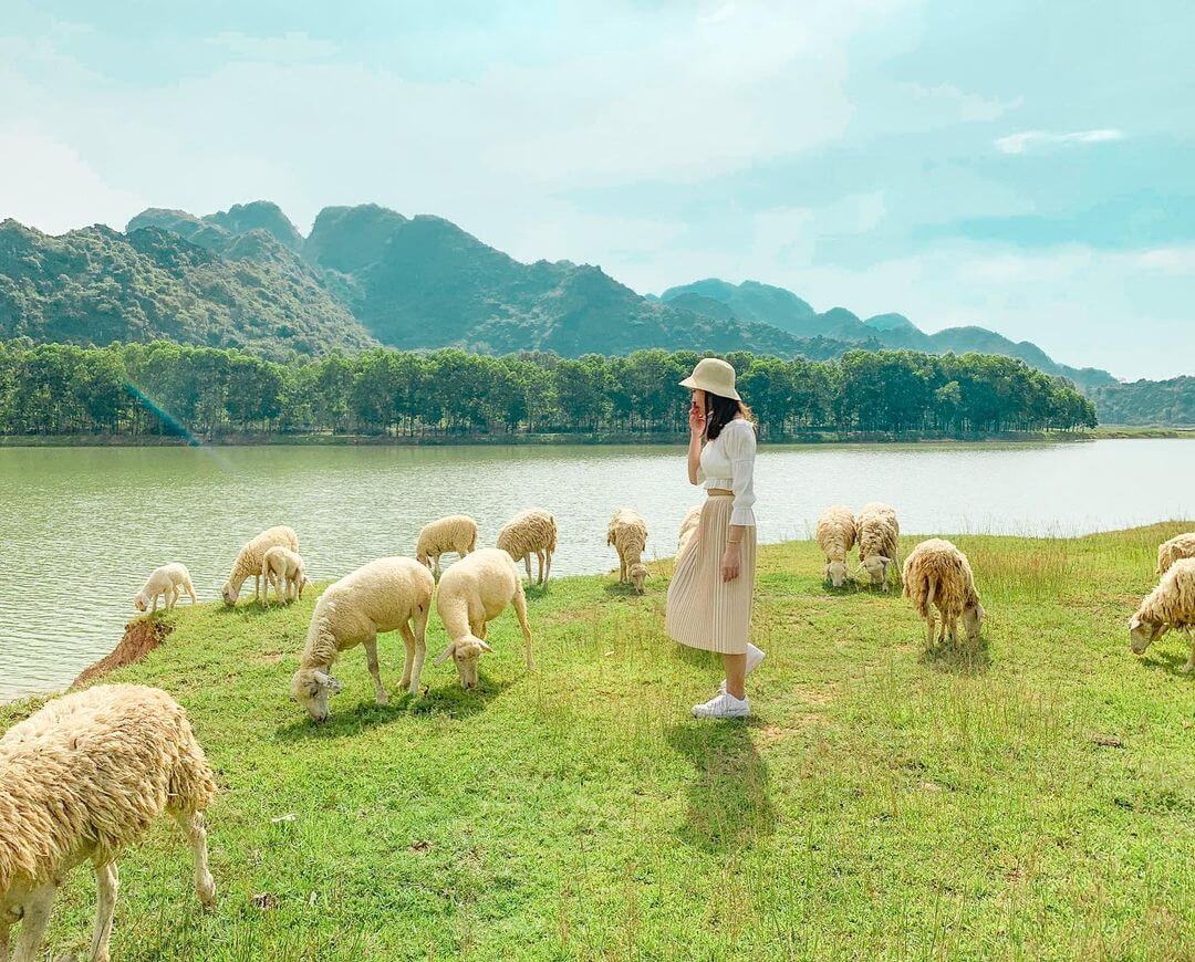 Đồng cừu Gia Hưng