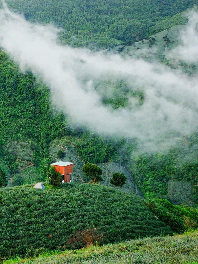 この場所は、パイナップル（香ばしい）専門で有名であるだけでなく、北西部のような手付かずの平和な美しさでも知られています。
