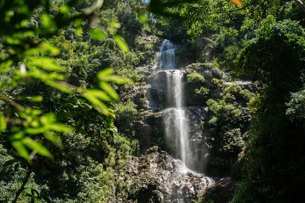 ルーイにとって最も理想的な時期は2月から8月頃です