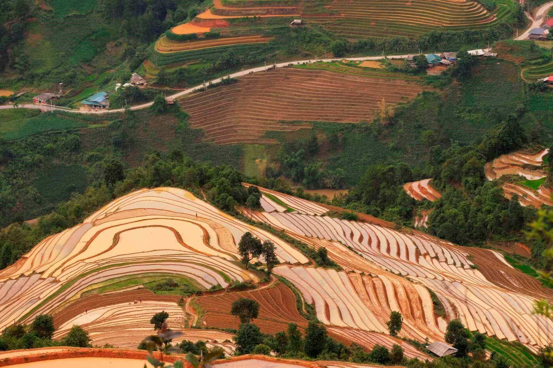 Zi Xu Phai의 계단식 분야