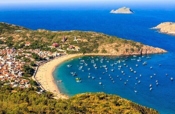 바다 고양이 티엔