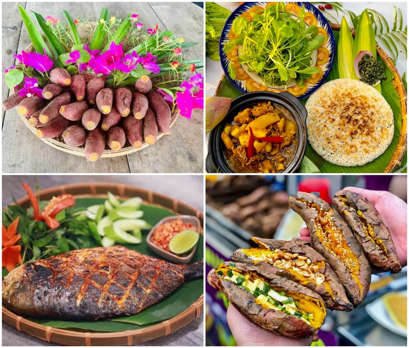 魅力的な土壌料理