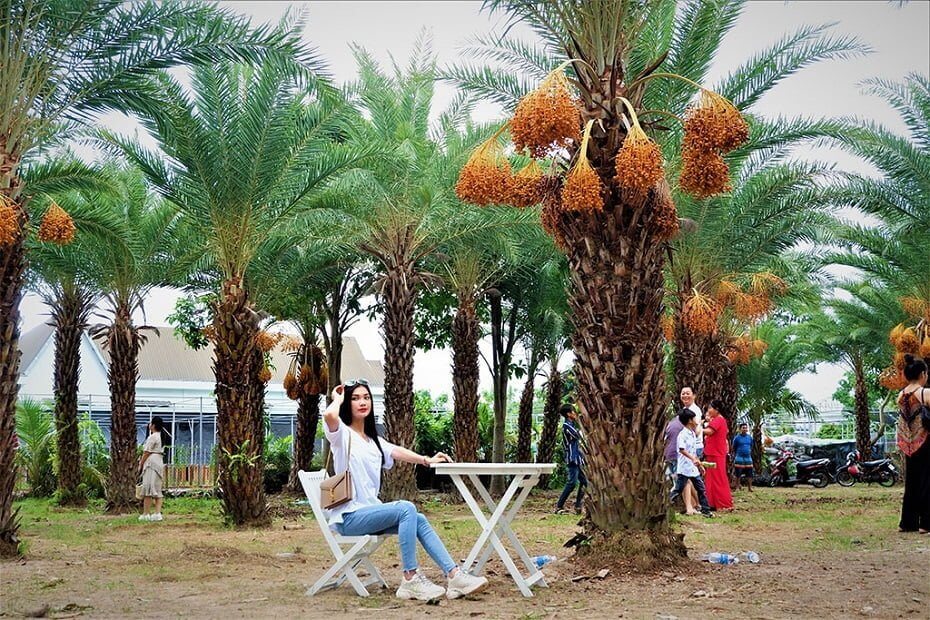 Vườn chà là Sa Đéc