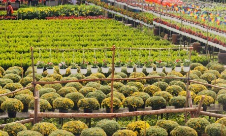 Thời điểm thích hợp nhất trong ngày để bạn đến đây là vào sáng sớm và buổi chiều