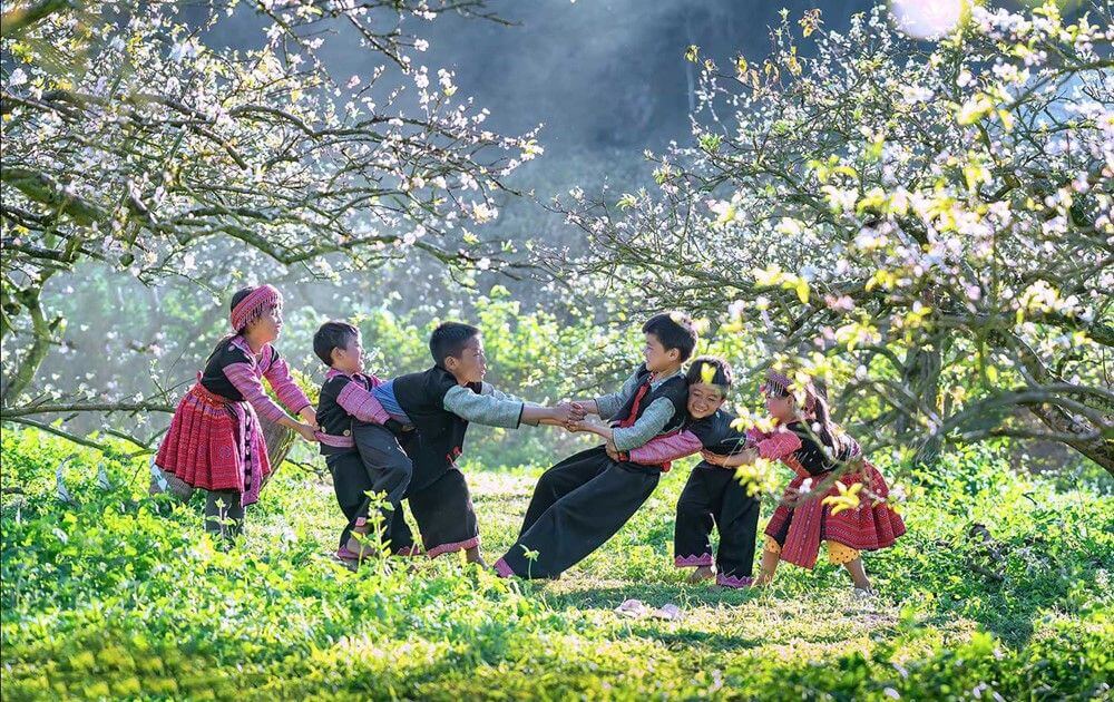 Những cánh đồng hoa tuyệt đẹp gắn liền với cuộc sống người dân trong bản - Kinh nghiệm khám phá bản Pa Phách tự túc