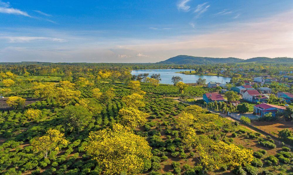 바우 캔 티 언덕