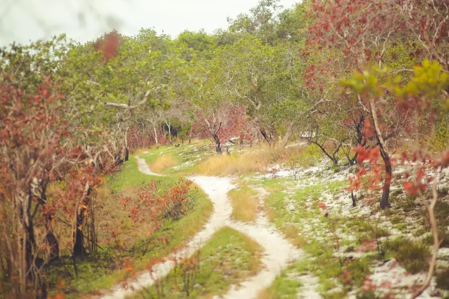 Suối nước nóng Bưng Thị