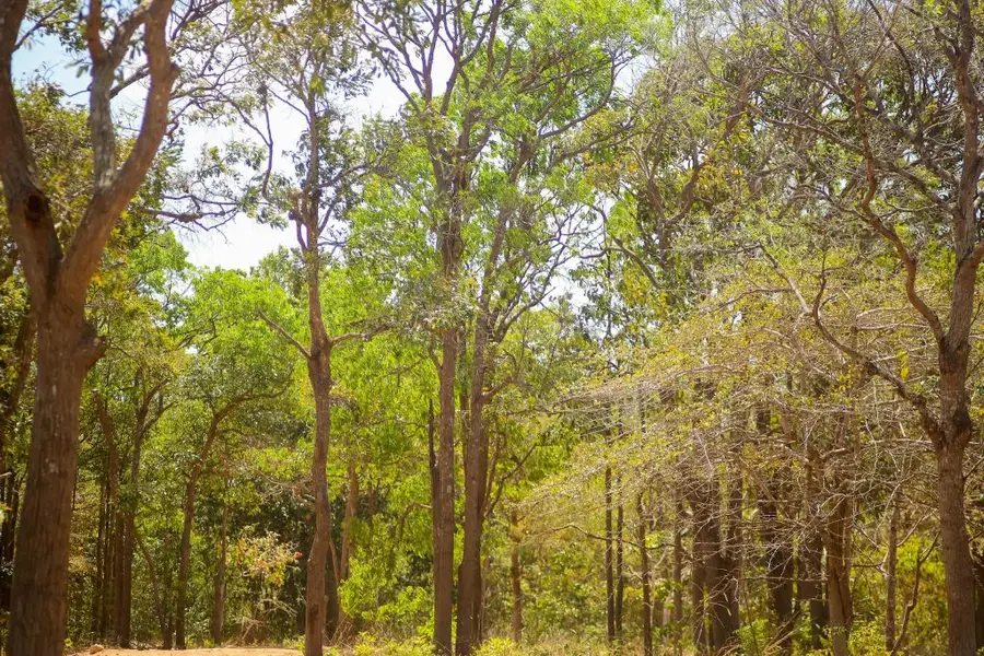 Suối nước nóng Bưng Thị