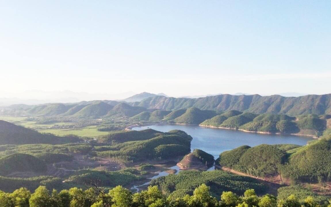 訪問者は猿の上部に何千もの美しい写真を録音できます